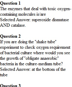 Lab Quiz 7